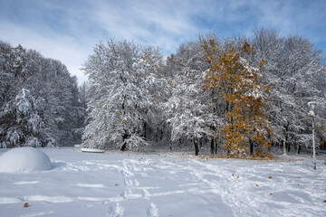 Winter Landscape of South Park in city of Sofia, Bulgaria
