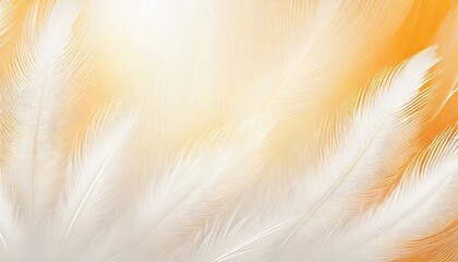 beautiful white feather pattern texture background with orange light