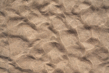 Feiner brauner Sand mit Reliefmuster an einem Strand, Meeresboden Nahaufnahme bei Ebbe - Fuerteventura, Kanarische Inseln - obrazy, fototapety, plakaty