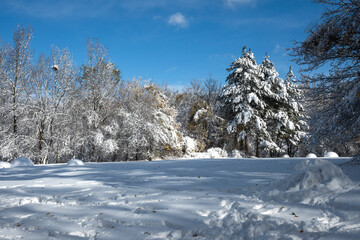 Winter Landscape of South Park in city of Sofia, Bulgaria