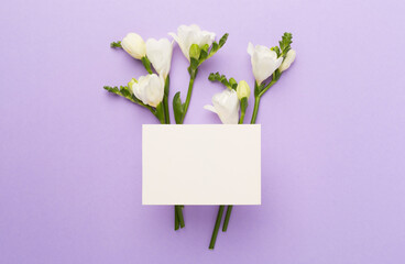 White freesia flower on color background, top view