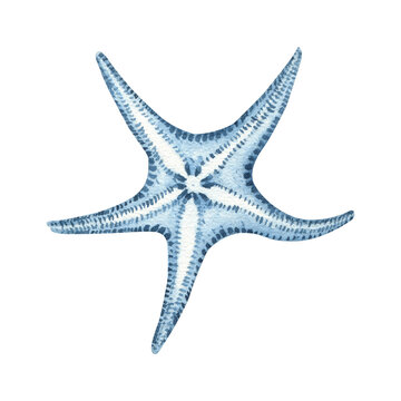 Watercolor nautical illustration, blue transparent starfish. Drawing on a white background for postcards, stickers, scrapbooking, posters, prints.
