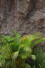 textura de pedras 