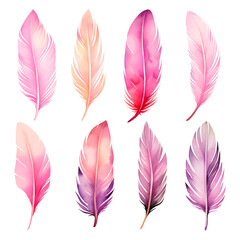 Set of watercolor pink and purple feathers. Boho style illustration