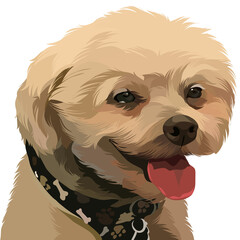 dog vector illustration realistic transparent background