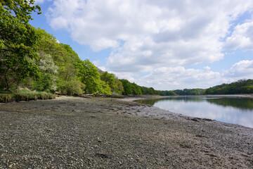 landscape scene on bed of river at low tide with surrounding woodland trees. peaceful places 