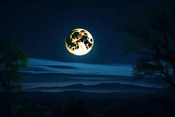 Zelfklevend Fotobehang Volle maan en bomen Moon in night on sea