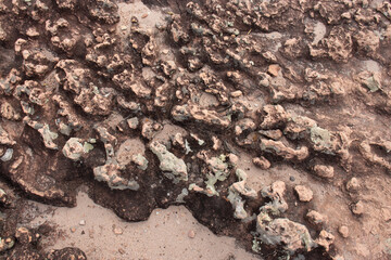 rock texture with several prominent stones