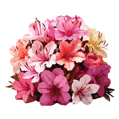 bouquet of multi color carnation flower vector artwork 