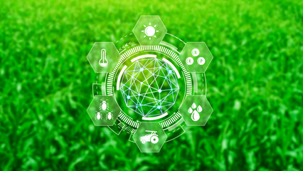 Infographics smart farming and precision agriculture with visual icon, Innovation technology for smart farm system, Agriculture management, smart technology concept modern technology. - obrazy, fototapety, plakaty