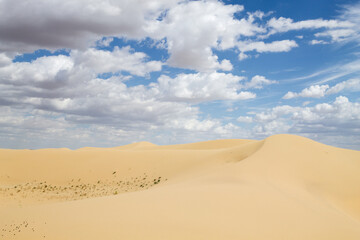 Fototapeta na wymiar Tuyesu dunes landscape, Senek, Kazakhstan