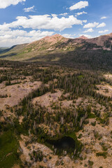 Forest Mountain High View