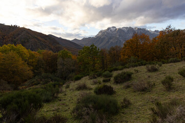 Autumn landscape of Picos de Europa natinal park mountain range in Spain with bright forest leaves