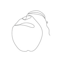 Continuous one line drawing of a coconut fruit on white