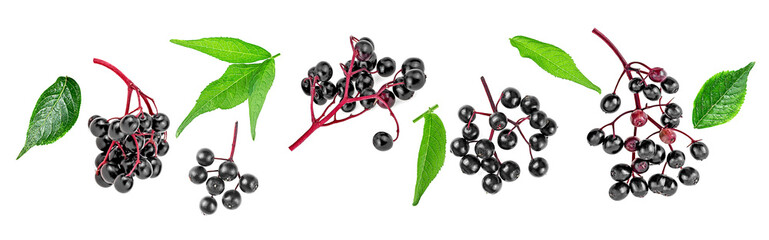 Black elderberry fruit clusters and green leaves isolated on a white background, top view. European...