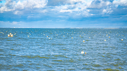 pornic and préfailles on french atlantic west coast loire atlantique