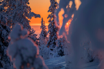 Lapland in winter with large amount of snow during colourful sunset