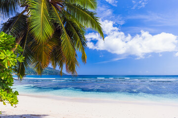 Beau Vallon beach, Seychelles. Coastal landscape with palm tree and white sand under cloudy sky