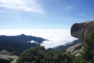 Mountains and trees over the clouds of Spain