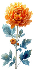 Fototapeta premium A painting of an orange flower with blue leaves, golden chrysanthemum flower.