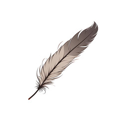  Feather isolated on gray  background.
