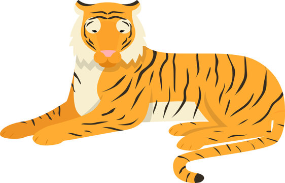 Tiger animal isolated on white, big bengal cat vector illustration. Wildlife striped predator,one wild undomesticated animal with paws. Old power mammal with tail, feline color portrait design.