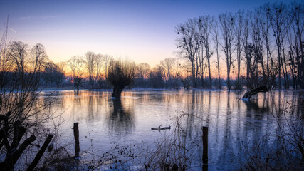 Winter Flood Landscape