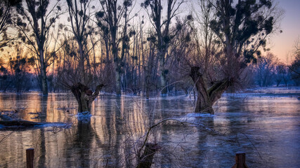 Winter Flood Landscape