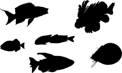 peces, silueta, pegatina, vector, pescado - obrazy, fototapety, plakaty