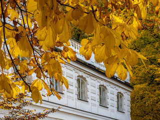 Classical building behind autumn leaves.