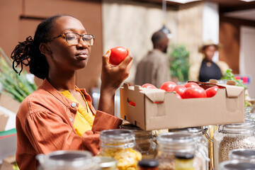 Detailed view of a young black woman holding and admiring a ripened red tomato in an eco friendly...