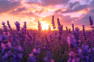 Schilderijen op glas A stunning summer sunrise illuminates a sprawling field of vibrant purple flowers, creating a picturesque landscape that evokes feelings of peace and tranquility © ChaoticMind