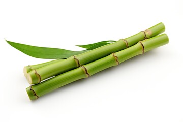 Fototapeta premium Isolated bamboo on white background