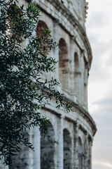 Obraz premium Colosseum, an elliptical amphitheatre in the centre of the city of Rome, Italy