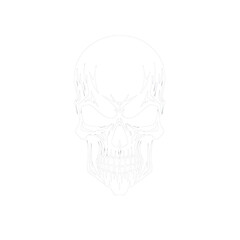 a skull with a white background