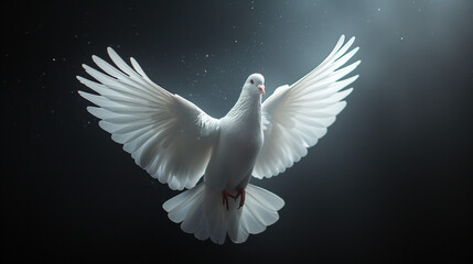 dove, a symbol of peace and freedom celebrated worldwide