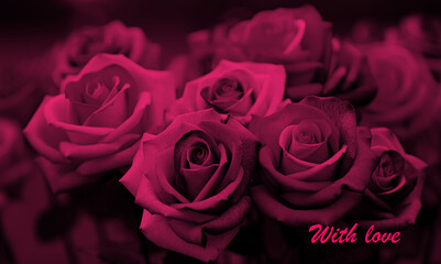 elegant pink roses, message with love 