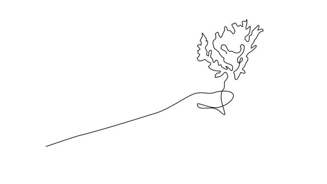 Animated self drawing of a hands holding plant seeds as a symbol of life video illustration. Design with Minimalist black linear design isolated. Plant themes for your business asset design.