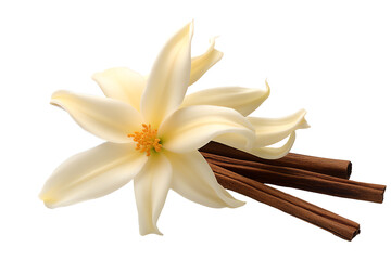 a flower and cinnamon sticks