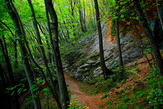 Energizing scene from Eremo di Soffiano near Sarnano in the Sibillini Mountains with a natural path reaching the hermitage, winding beside grey rugged rockface, light green foliage on trees, grass