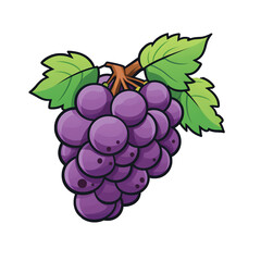 a purple grapes with green leaves