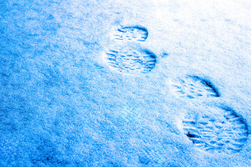 animal trail on fresh snow close-up