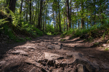 Fototapeta premium Hiking trail in the peak district