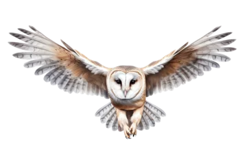 Foto op Plexiglas a white and brown owl flying © ion