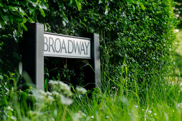 English Street Sign 'BRODWAY' Amidst Green Bushes