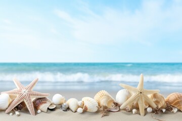 Fototapeta na wymiar Varied seashells and starfish arranged on sandy shores.
