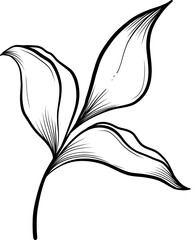 Botanical floral line element for wedding card design