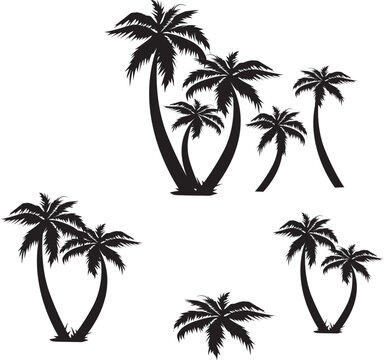 palm trees silhouettes-set of trees-set of palms
