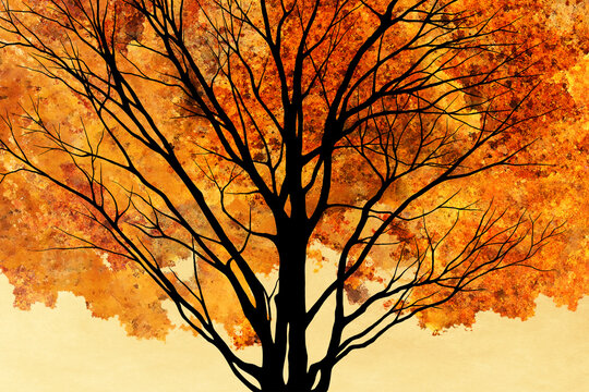 autumn tree silhouette
