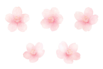 満開の桜の水彩イラストセット_かわいい手描きの春の花の背景_フレーム